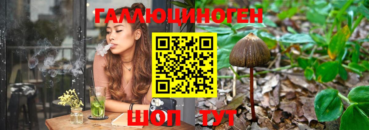 Псилоцибиновые грибы Psilocybe Бутурлиновка